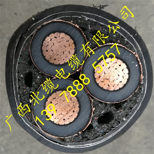 www.64nzc.cn