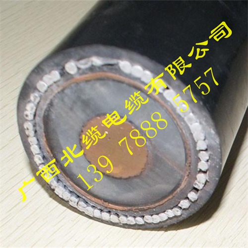 www.64nzc.cn