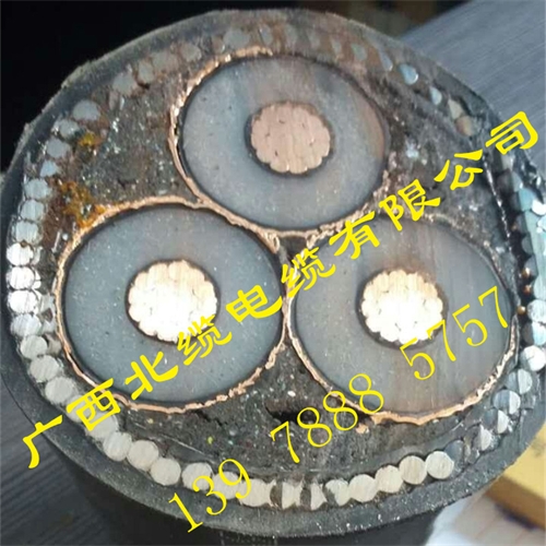 www.64nzc.cn