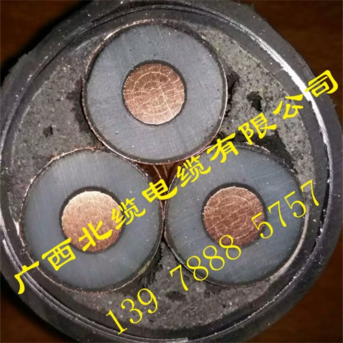 www.64nzc.cn