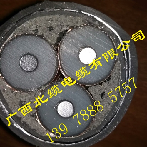 www.64nzc.cn