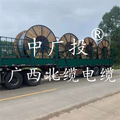 www.64nzc.cn