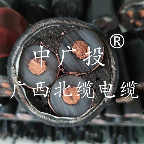 www.64nzc.cn