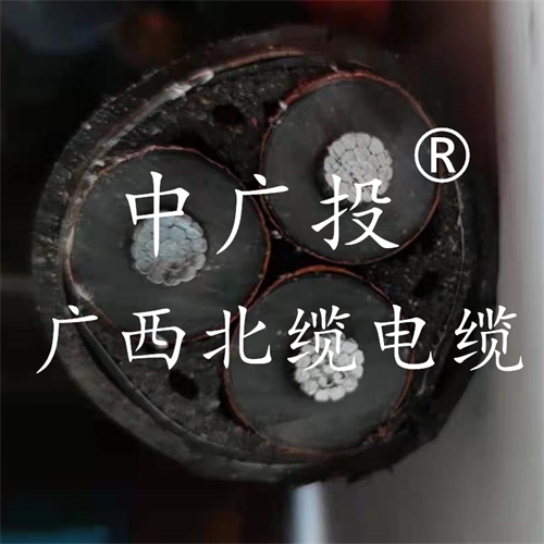 www.64nzc.cn