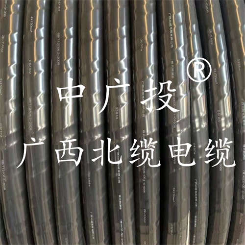 www.64nzc.cn