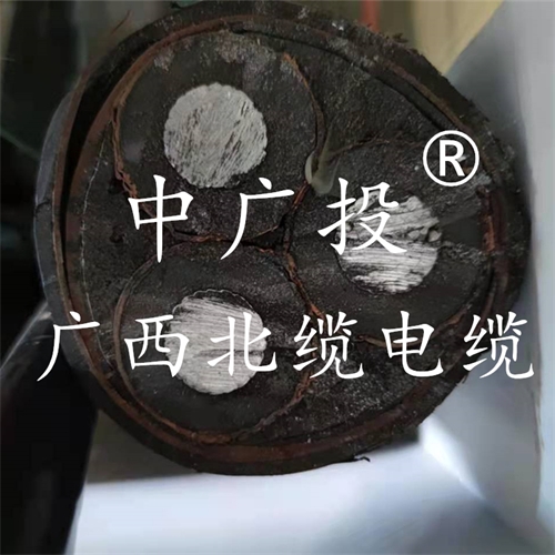 www.64nzc.cn