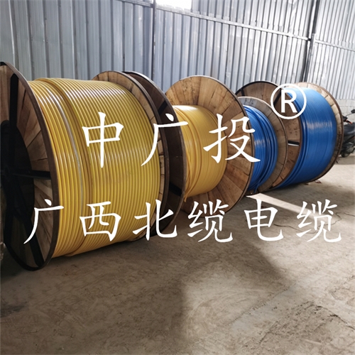 www.64nzc.cn