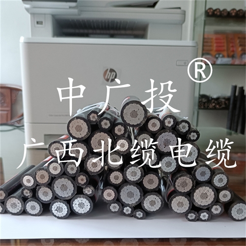 www.64nzc.cn