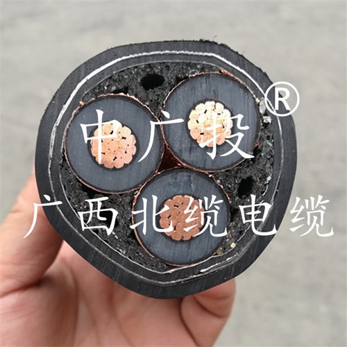 www.64nzc.cn