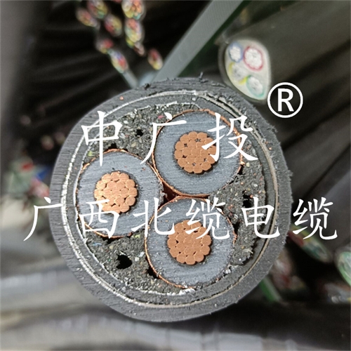 www.64nzc.cn