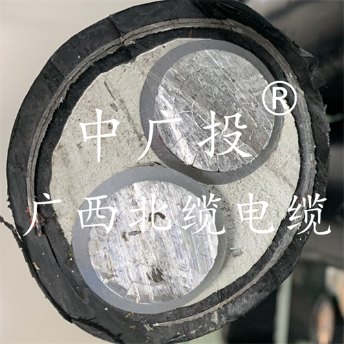 www.64nzc.cn