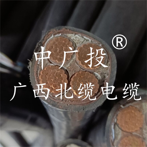 www.64nzc.cn