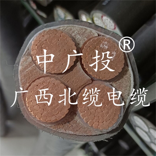 www.64nzc.cn