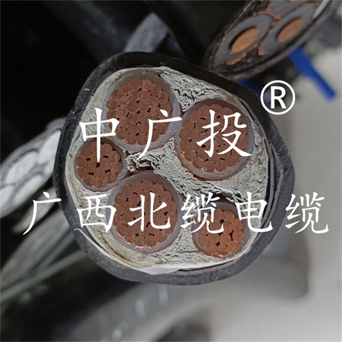 www.64nzc.cn