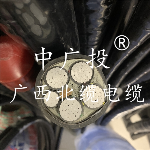 www.64nzc.cn