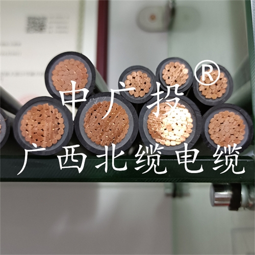 www.64nzc.cn