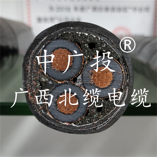 www.64nzc.cn