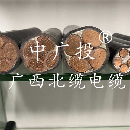 www.64nzc.cn