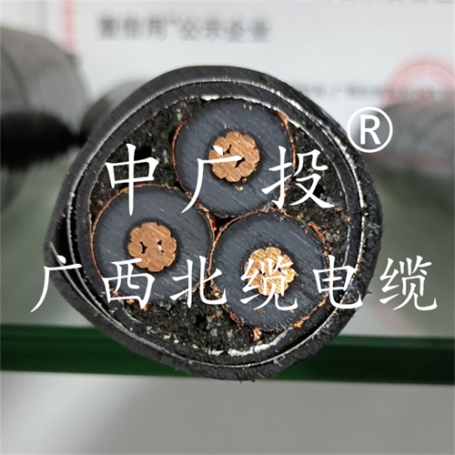 www.64nzc.cn