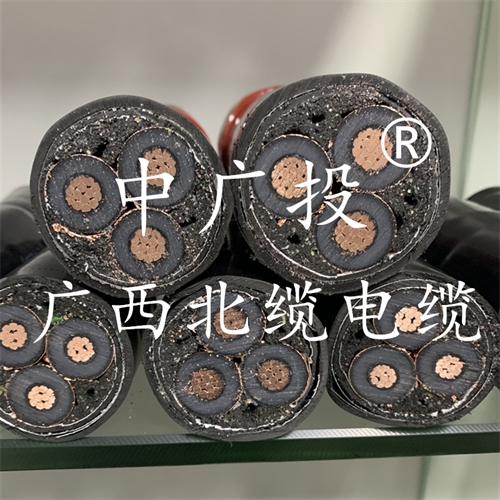 www.64nzc.cn