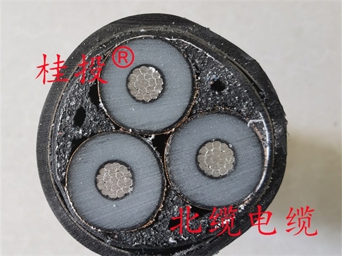 www.64nzc.cn