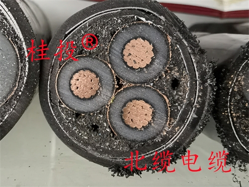 www.64nzc.cn