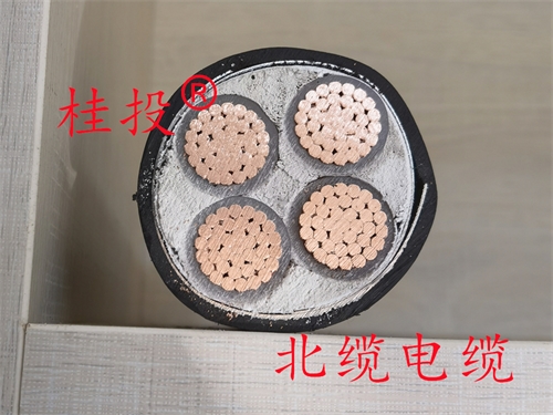 www.64nzc.cn