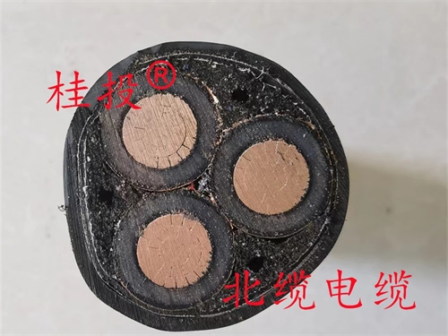 www.64nzc.cn