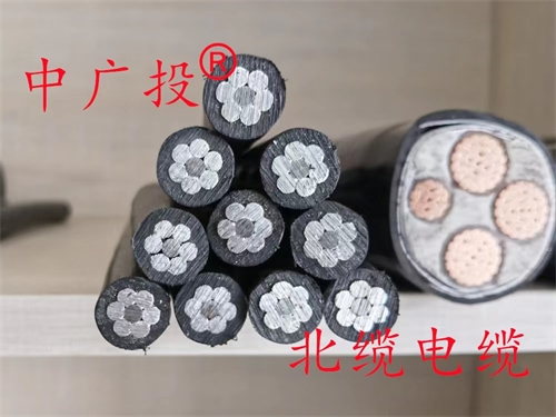 www.64nzc.cn