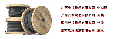 www.64nzc.cn