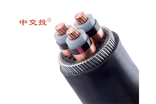 www.64nzc.cn