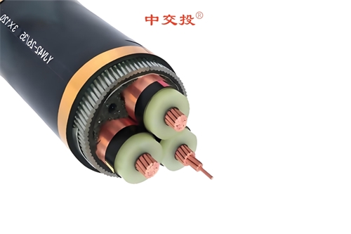 www.64nzc.cn