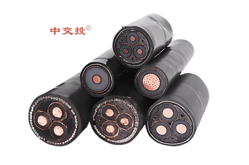 www.64nzc.cn