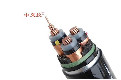 www.64nzc.cn