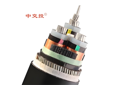 www.64nzc.cn