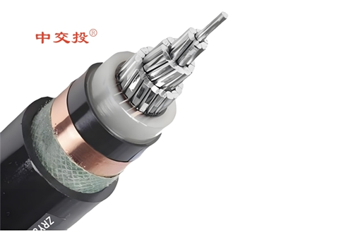 www.64nzc.cn