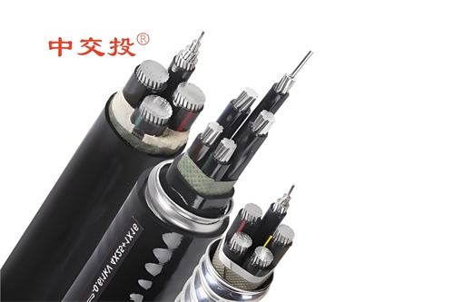 www.64nzc.cn