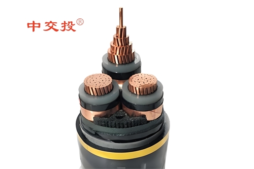 www.64nzc.cn