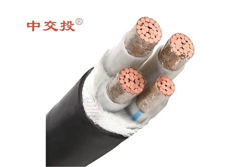 www.64nzc.cn