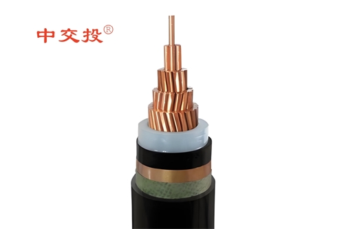 www.64nzc.cn