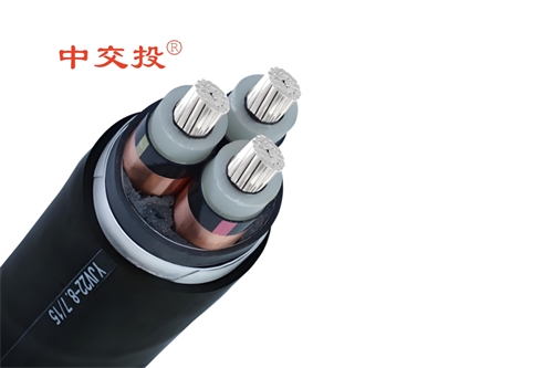 www.64nzc.cn